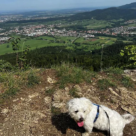 Luxliv Apartements * Balingen